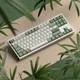 Touches de clavier à thème forêt de bambous aucun profil vert blanc sublimation de colorant PBT
