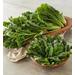 The Chef's Garden Spinach, Family Item Food Gourmet Fresh Vegetables, Gifts by Harry & David