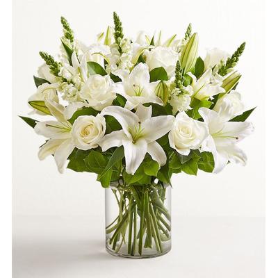1-800-Flowers Flower Delivery Classic All White Arrangement Xl
