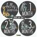 Cohas Baby Milestone Chalkboard Stickers Set of 24 Safari Animals