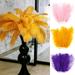 Relax love Ostrich Feather Plume 10Pcs Multi-Color Ostrich Feather Plume Decorative Pink Gold Purple Feather Craft Fashion DIY Large Feather Party Centerpieces for Home Wedding Pink