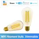 SONOFF-Ampoule LED à Filament Vintage A60 ST64 Lumière Blanche Froide et Chaude Wifi Intelligente