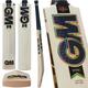 Gunn & Moore GM Cricket Bat | Hypa | DXM & TTNOW Technologies, Prime English Willow, 909, L555 Blade, Full Size, Suitable For Players 175cm and over (5'9" +)