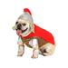 Gladiator Dog Costume