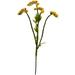 Nearly Natural 22 Baby Breath Artificial Flower (Set of 24)