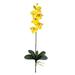 Nearly Natural Phalaenopsis Silk Orchid Flower w/Leaves 6 Stems)