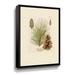 Gracie Oaks Vintage Pine Cone by Ansel Adams - Graphic Art on Canvas in Green | 10 H x 8 W x 2 D in | Wayfair BC5DBAB850F24E60B161C83BBBA77539