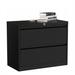 Latitude Run® Sandweiler 2-Drawer Lateral Filing Cabinet Metal/Steel in Black | 28.93 H x 35.55 W x 15.86 D in | Wayfair