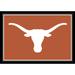 Imperial Texas Longhorns 2'8" x 3'10" Area Rug