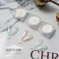 Poudre scintillante pour ongles pigment de vernis gel UV décoration de manucure accessoires