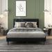 Queen Size Upholstered Bed Square Stitched Headboard, Black