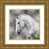 Rose Martin 26x26 Gold Ornate Wood Framed with Double Matting Museum Art Print Titled - White Stallion on Silver