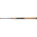 Shimano Teramar South East Spinning Rod SKU - 340618