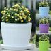 NUZYZ Ceramic-like Flower Succulent Plant Pot Planting Holder Flowerpot with Tray