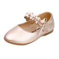 Girl Shoes Small Leather Shoes Single Shoes Children Dance Shoes Girls Performance Shoes Toddler Girls Baby Girl Shoes 12-18 Months