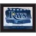 Tampa Bay Rays Framed 10.5" x 13" Sublimated Horizontal Team Logo Plaque