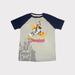 Disney Shirts & Tops | Disney Parks Disneyland Resorts Raglan Tee | Color: Gray | Size: Sb