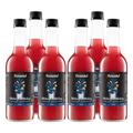 Freshly Fermented – Organic Certified Blueberry and Elderberry Water Kefir Drink - 6 x 500ml Bottles