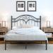 Lark Manor™ Alecia Metal Platform Bed in Black | 46.9 H in | Wayfair 8D6B2FF0BB94430DB5FB81B00E2D6178