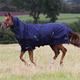 Gallop Trojan Combo Turnout 600d 450g Rug C450 710 Navy/Brown, Navy/Brown, 7'0"