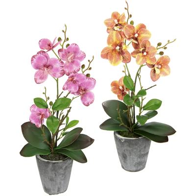 Kunstpflanze I.GE.A. "Orchidee", bunt (rosa, orange), B:19cm H:40cm L:40cm, Kunstpflanzen, Mit Blättern und Luftwurzeln, im Topf aus Keramik, 2er Set Image