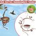 Wozhidaoke Window Bird Feeder Courtyard Bird Feeder Red Berries Hummingbird Feeder Bird Feeders for Outside Bird Feeders Red 26*19*11 Red