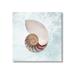 Stupell Industries Aquatic Nautilus Spiral Seashell Graphic Art Gallery Wrapped Canvas Print Wall Art Design by Marcus Prime