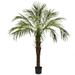 Nearly Natural 6 Robellini Palm Tree