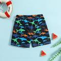 Cathalem Boys Swimsuit Bottoms Boys Swim Trunks 4 Toddler Kids Baby Boys Summer Print Shorts Quick Dry Beach Swimwear Swim Set Toddler 4t Black 18-24 Months