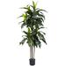 Nearly Natural 5 Dracaena Plant UV Resistant (Indoor/Outdoor)