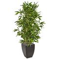 Nearly Natural 5 Bamboo Artificial Tree in Black Planter (Real Touch) UV Resistant (Indoor/Outdoor)