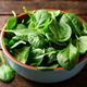 Vegetable Plants - Spinach 'Bella' - 18 x Plug Plant Pack