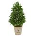 Nearly Natural 39 Bay Leaf Cone Topiary Artificial Tree in Farmhouse Planter