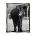 Stupell Industries Baby Cattle Calf Grazing Rural Farm Photography Photograph Luster Gray Floating Framed Canvas Print Wall Art Design by Dakota Diener