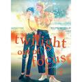 Twilight Out of Focus: Twilight Out of Focus 3: Overlap (Series #3) (Paperback)