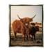 Stupell Industries Longhorn Highland Cattle Cow Warm Sunrise Morning Photograph Luster Gray Floating Framed Canvas Print Wall Art Design by Dakota Diener