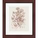 Great Art Now Flowering Plants IV Brown by Wild Apple Portfolio Framed Wall Art 21W x 24H