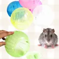 Balle de Sport en plastique 10CM petit Rat rongeur souris balle de Jogging jouet Hamster balle