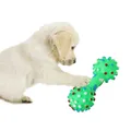 Jouet à mâcher coloré en PVC pour chien jouet pour nettoyer les dents Durable pratique pour