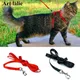 Laisse en nylon réglable pour animal de compagnie collier SFP traction pour chaton et chien licou