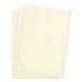 Wilson Jones Looseleaf Minute Book Ledger Sheets 11 x 8.5 Ivory Loose Sheet 100/Box