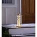 Evergreen Enterprises, Inc Solar Powered Integrated LED Outdoor Lantern in Yellow | 17 H x 6 W x 6 D in | Wayfair 61A29