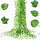 Plante Artificielle de Lierre Vert pour Décoration de Jardin Fausses Feuilles de Couronne 12