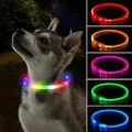 Collier de chien lumineux à LED USB Shoous prévention des pertes lumineuses accessoires de marche