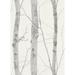 Loon Peak® Fathma Tree Branches 33' L x 21" W Wallpaper Roll Non-Woven in Gray/White | 21 W in | Wayfair F241452B614C4B5DAA23B7DC3743D07A