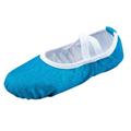 LBECLEY Tennis Girls Children Shoes Dance Shoes Warm Dance Ballet Performance Indoor Shoes Yoga Dance Shoes Girl High Top Sky Blue 38