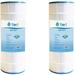 Tier1 Pool & Spa Filter Cartridge 2-pk | Replacement for Hayward C1200 Star-Clear Plus Filbur FC-1293 Pleatco PA120 Unicel C-8412 and More | 120 sq ft Pleated Fabric Filter Media
