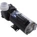 Pump Aqua Flo XP2 1.5ohp/2.0thp 115v 2-Speed 48fr 2 OEM