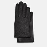 Coach Accessories | Coach Signature Leather Tech Gloves | Color: Black | Size: Various