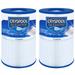 Cryspool PDM30 Spa Filter Oval Filter for Dream Maker Hot Tubs 461269 30 sq.ft 2 Pack